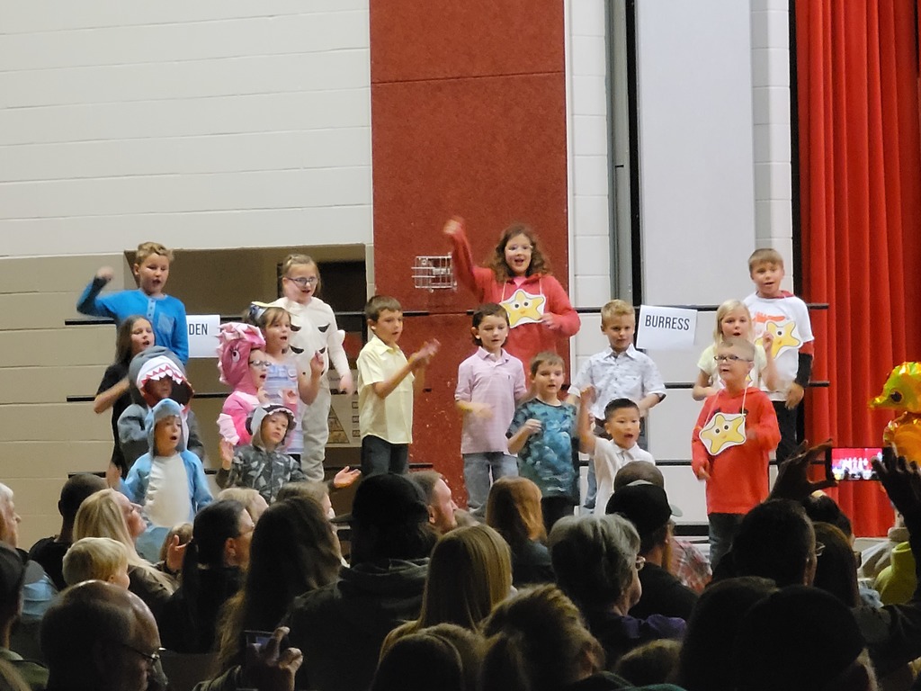 Second grade students stand on risers in a school gymnasium. Some of them wear star fish signs around their necks. One is dressed  like a shark; another like a seahorse,
