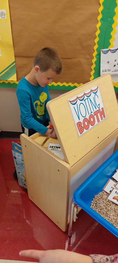 A second grade student in a blue shirt casts his ballot at a makeshift wooden voting booth in his classroom.