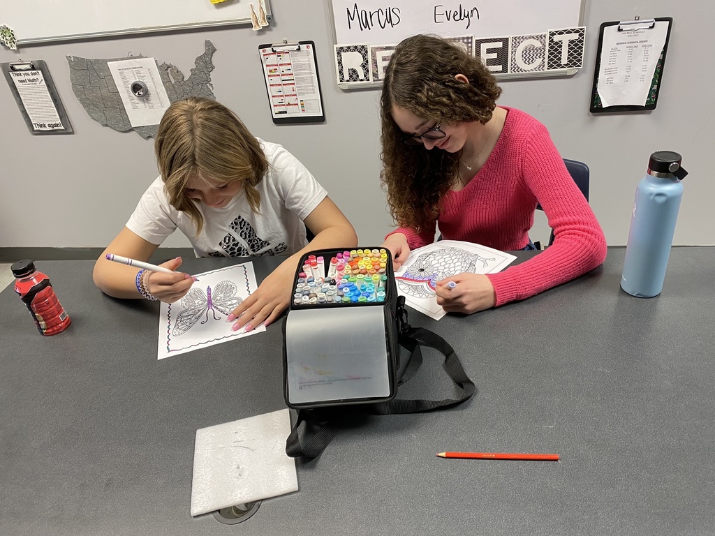 two students color pictures of an owl and butterfly