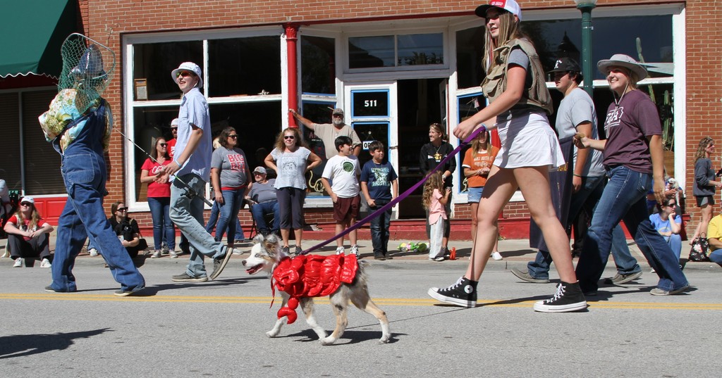 a girl wearing a fishing vest walks a dog with a crab costume on