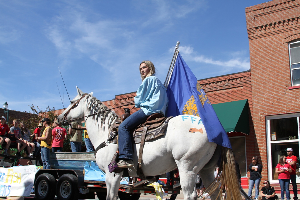 girl on white horse holding a blue FFA flag